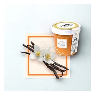 Madagascar Bourbon Vanilla Ice Cream – Individual Cup