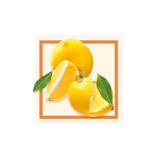 Sicilian Lemon Sorbet – Individual Cup