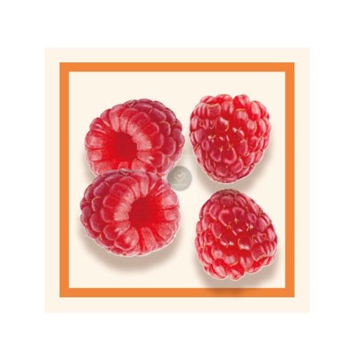 Raspberry Sorbet – Individual Cup