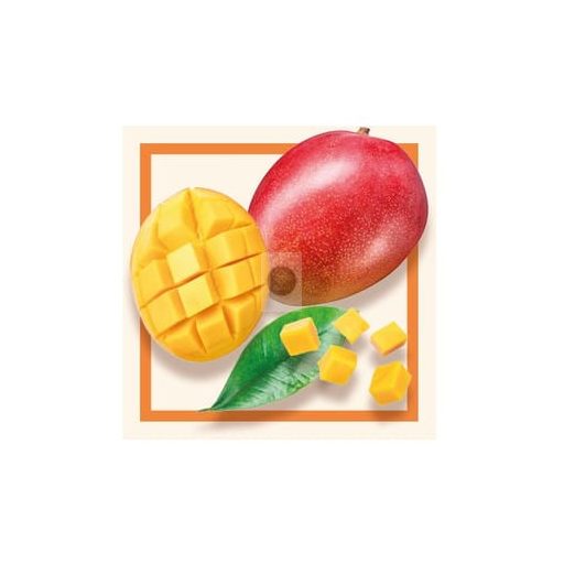 Mango Sorbet – Individual Cup