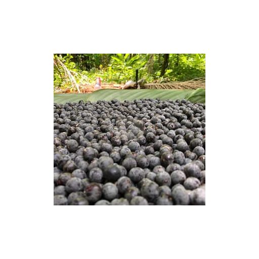 Organic Frozen Açaí Purée – Brazil (Amazon) (Ponthier)