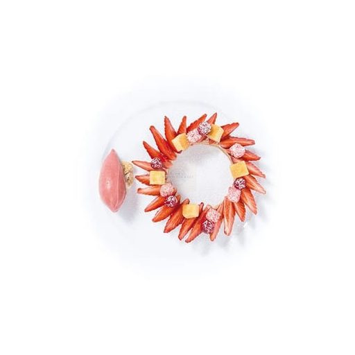 Frozen Strawberry Purée 100% – Ponthier