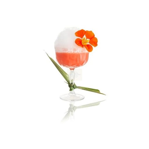 Frozen Strawberry Purée 100% – Ponthier