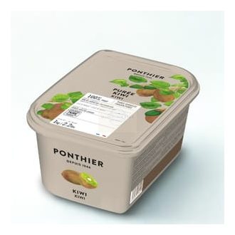 Frozen Kiwi de l’Adour IGP Purée 100%
