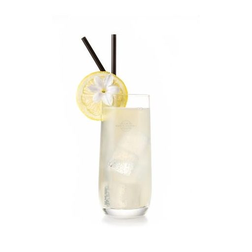 Ponthier Frozen Lime Purée – Citron Vert 100% (Mexico)