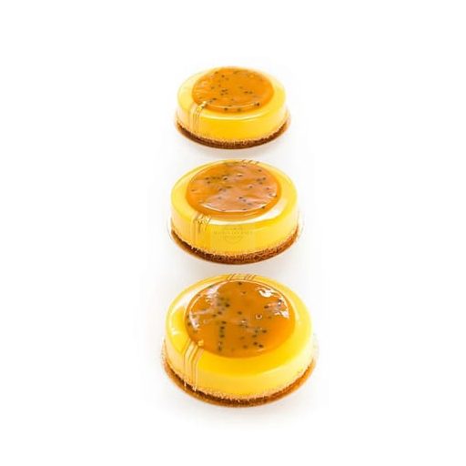 Frozen Passion Fruit Purée 100% – Ponthier