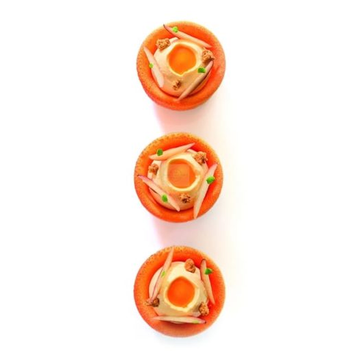 Frozen Sea Buckthorn Purée 100% – Latvia (Ponthier)