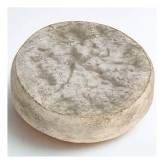 Sajt - Saint Nectaire laitier 1,5kg