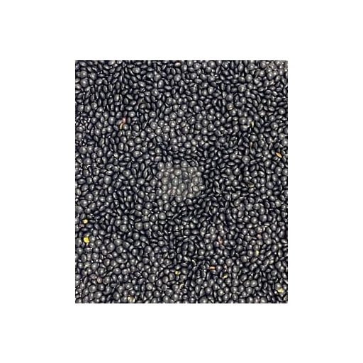 Fekete Beluga lencse 500g