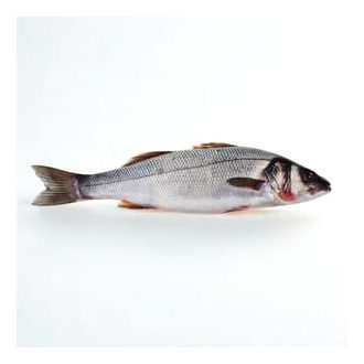 Hal - Vadvízi tengeri sügér 1-2kg (horoggal fogott)