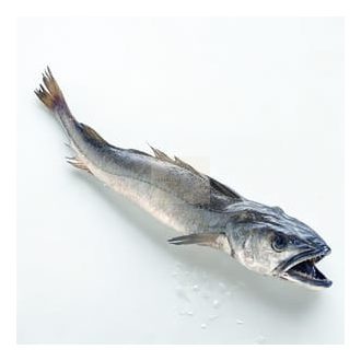 Hal - Atlanti vadvizi hekk 1,8-2,5 kg (kis hajós)