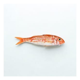 Bretagne-i vörösmárna mini (±60g)