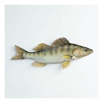 Hal - Fogas 1-2kg