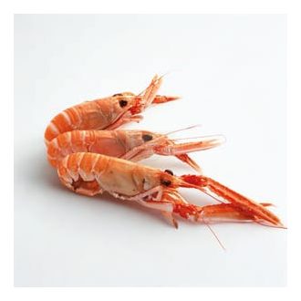 Langusztin (scampi) skót  16/20 friss
