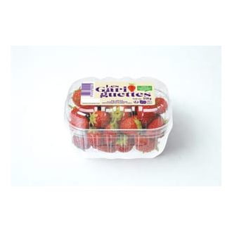 Eper - Gariguette mézédes 250g (x16)