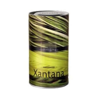 Ferran Adria - Texturas - Xantane 600g