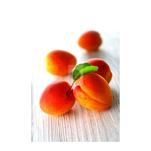 SICOLY® Frozen Apricot Purée – No Added Sugar