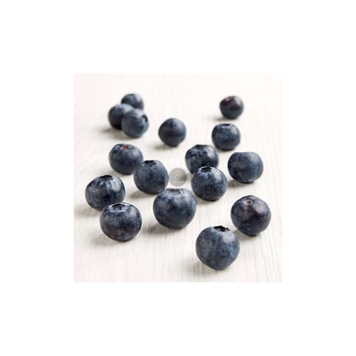 SICOLY® Frozen Wild Blueberry Purée – No Added Sugar