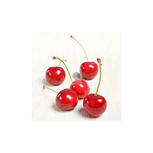 SICOLY® Frozen Morello Cherry Purée – No Added Sugar
